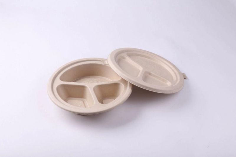 Biodegradable Packaging Eco Friendly Sugarcane Bagasse Pulp Food Tray