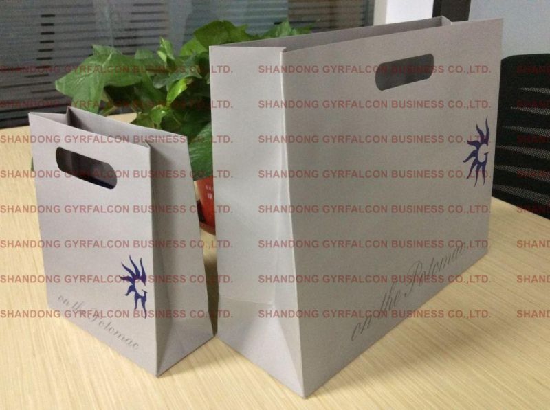 Clothing/Gift/Shoes/Jewelry/Festival Packaging Art Paper Bag