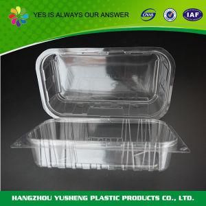 Blister Packaging Transparent Plastic Food Container