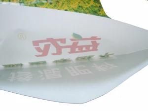 Color Printed Plastic PP Woven Pouch Use for Fertilizer