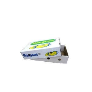 Custom Fruit Gift Cardboard Carton Apple Packing Box with Clear Window