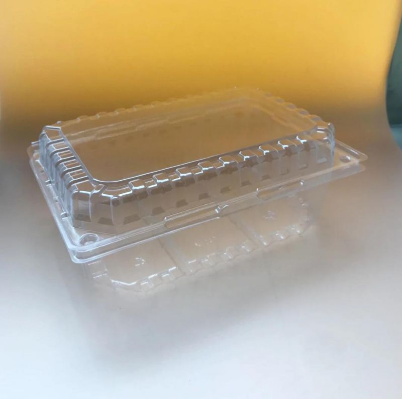 Custom Clear Meal Box Food Grain Serving Packaging Biscuit Nut Packaging Box