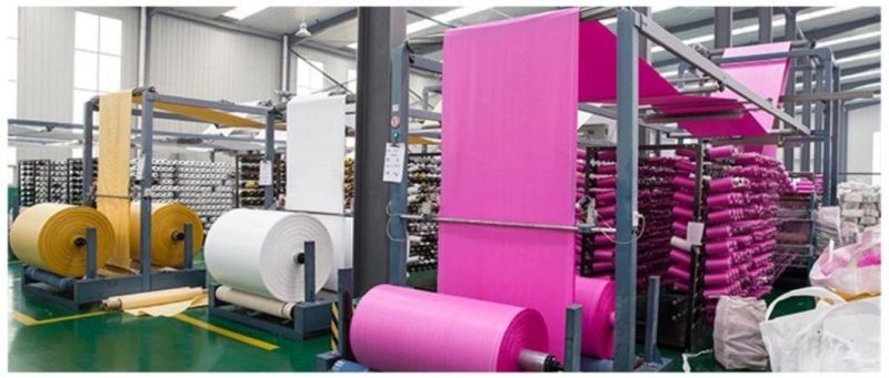 China Manufacturer 50kg Polypropylene PP Woven Bag for Packing Industry