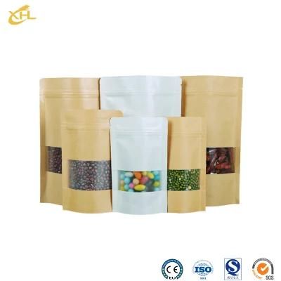 Xiaohuli Package China Food Retort Pouch Suppliers Dry Fruit Zip Lock Bag for Snack Packaging