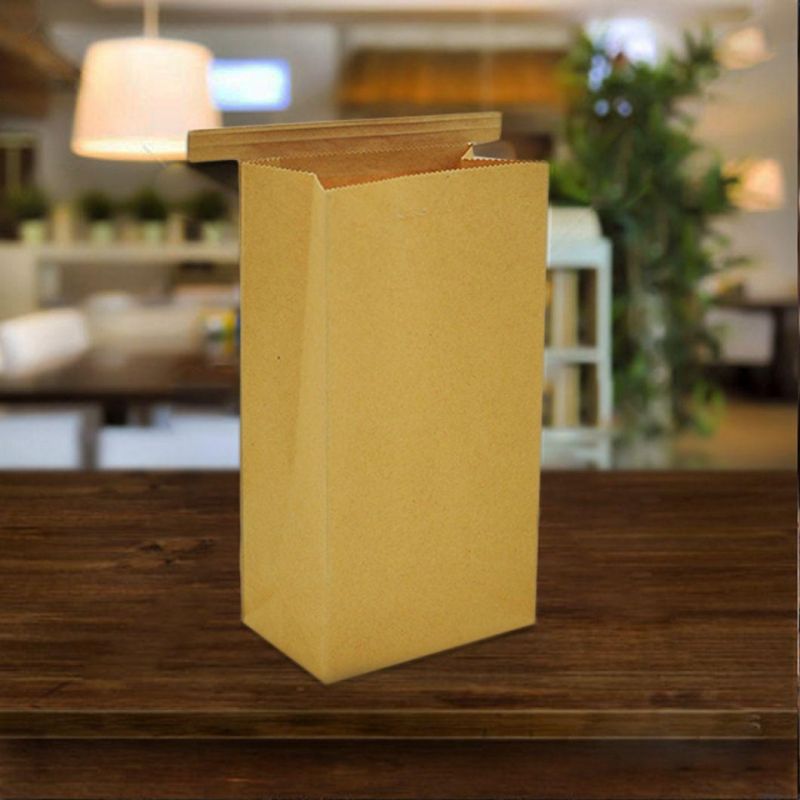 Food Packaging Bag Square Paper Bag for Fried Chicken Block/Compost Bag