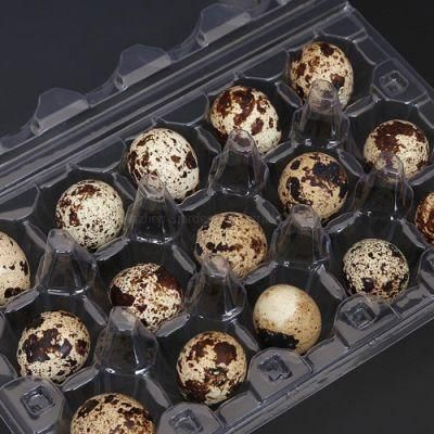 Factory Clear 24 Cells Disposable Plastic Blister Quail Egg Tray