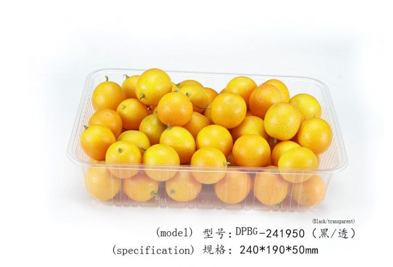 Supermarket Biodegradable Serving Tray Fruits Vegetable Storage with Dividers Cover Package Trays