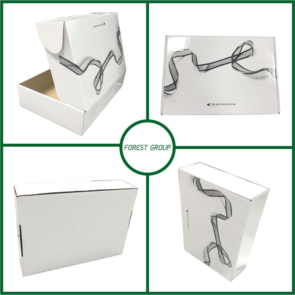 White Simple Decorated Painting Gift Box for Shipping Wholesale