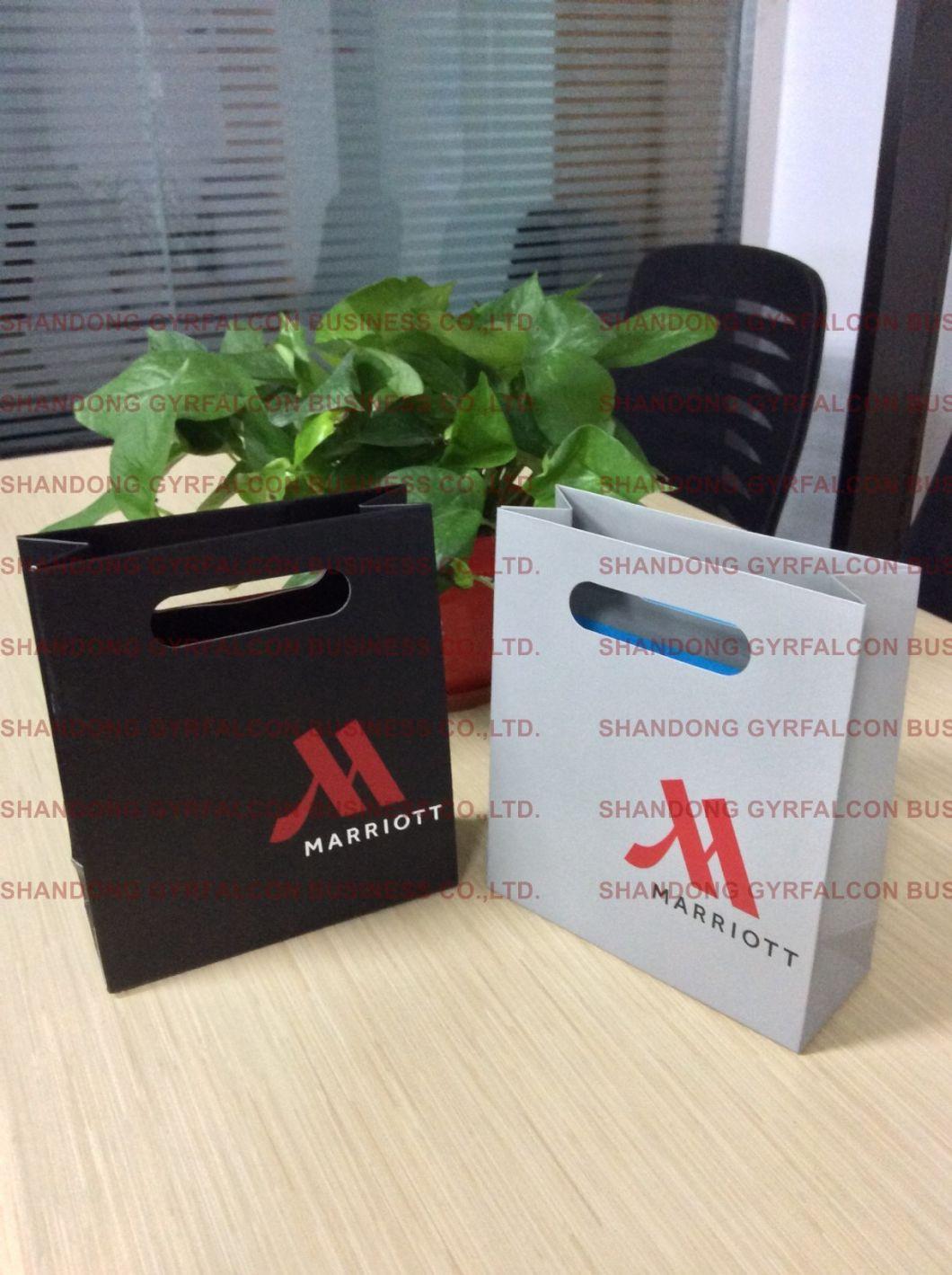 Customized Clothing/Gift/Shoes/Jewelry/Festival Usage Packaging Paper Bag