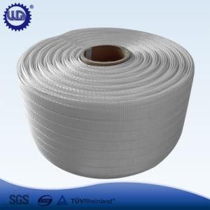 Polyester Webbing Strap with High Strength