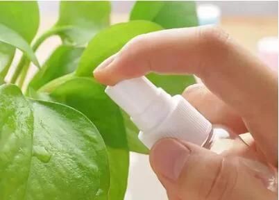 Essential Oil Spray Bottle Tops Fine Mist Sprayer for 5ml, 10ml, 15ml to 100ml Eo Bottles Body Mist Long Nozzle Mist Sprayer