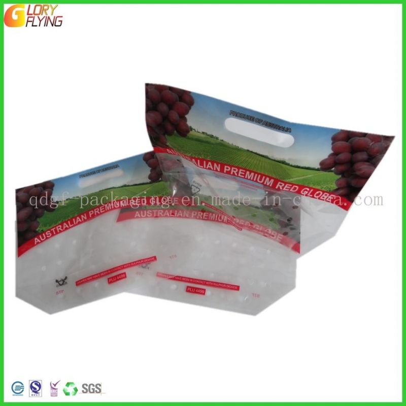 Plastic Grape Zipper Bag with Perforation Freshness Vegetable Packing Bag