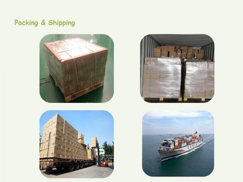 PLA Pbat Biodegradable Material Biodegradable Polylactide Resin for Film