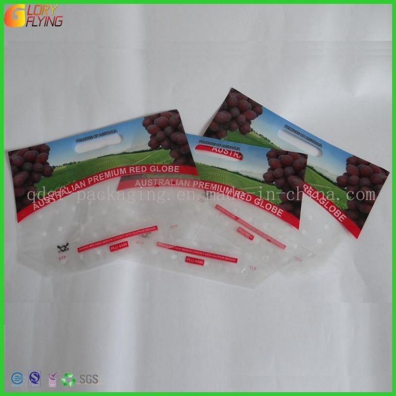 Plastic Grape Zipper Bag with Perforation Freshness Vegetable Packing Bag