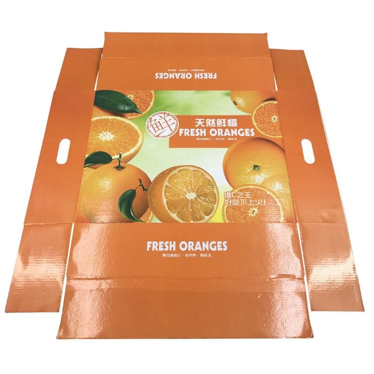 Wholesale Folding Carton Paper Box for Fruit