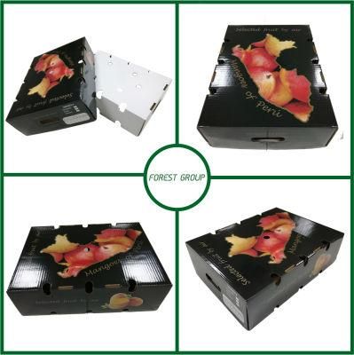 New Design Paper Fruit Corrugated Carton for Wholesale