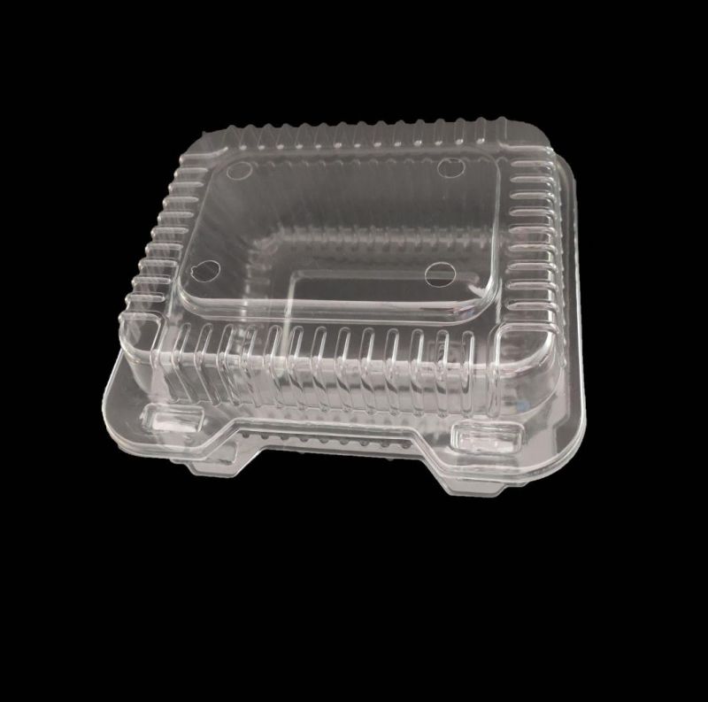 Plastic Fresh Fruit Clamshell Packaging Tray Food Container