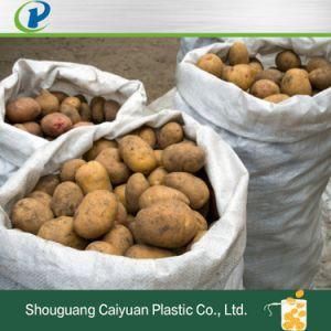 Durable Plastic PP Tubular Leno Mesh Packaging Bag for Onion Potato Vegetable Firewood Seafood