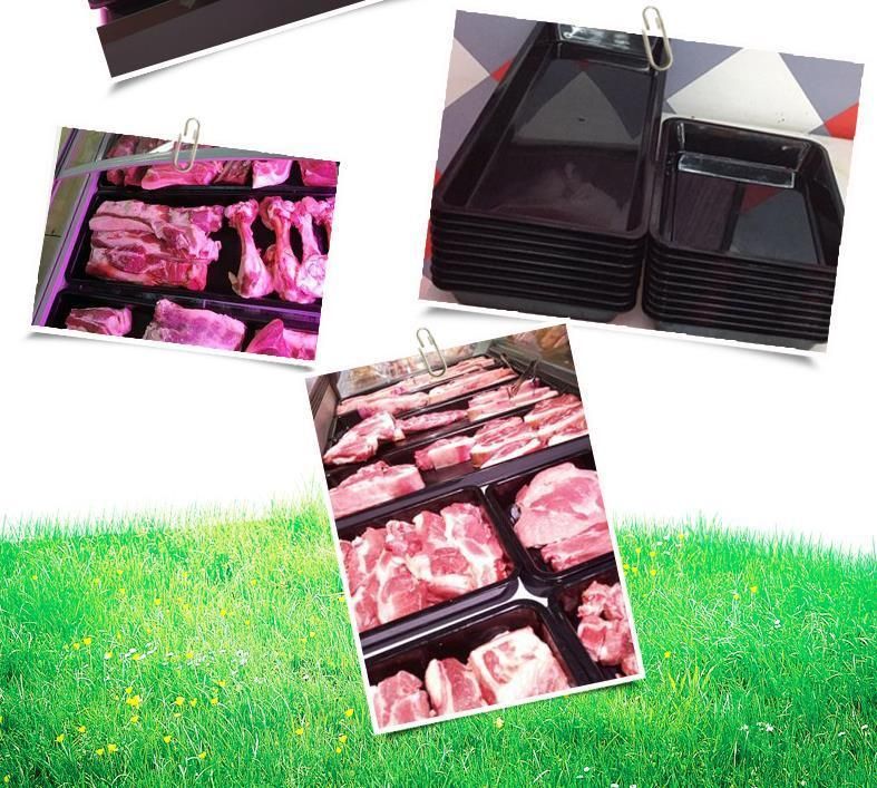 Fresh Food Tray and Meat Tray for Supermarket