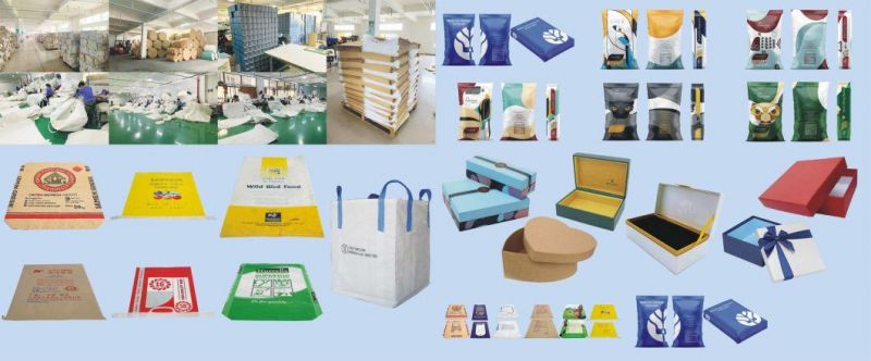 8 Colorful Gravure Printing BOPP Laminated PP Woven Bags with Valve Feeding Mouth