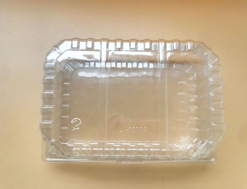 Custom Clear Meal Box Food Grain Serving Packaging Biscuit Nut Packaging Box