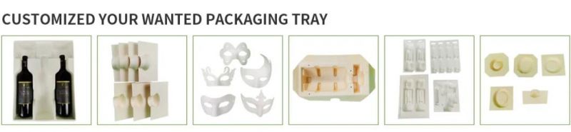 Recycled Paper Pulp Material Molded Pulp Packaging Paper Food Pack