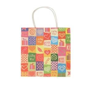 Professional Customized Paper Gift Shopping Bag for Packaging and Promotion