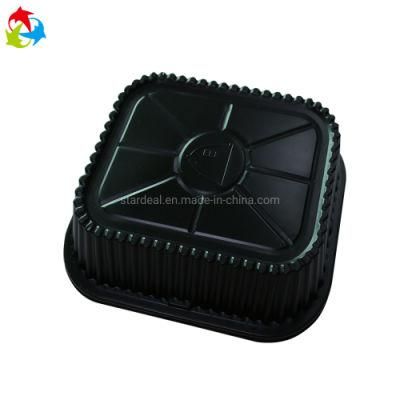 Disposable Takeaway Packaging Plastic Food Container