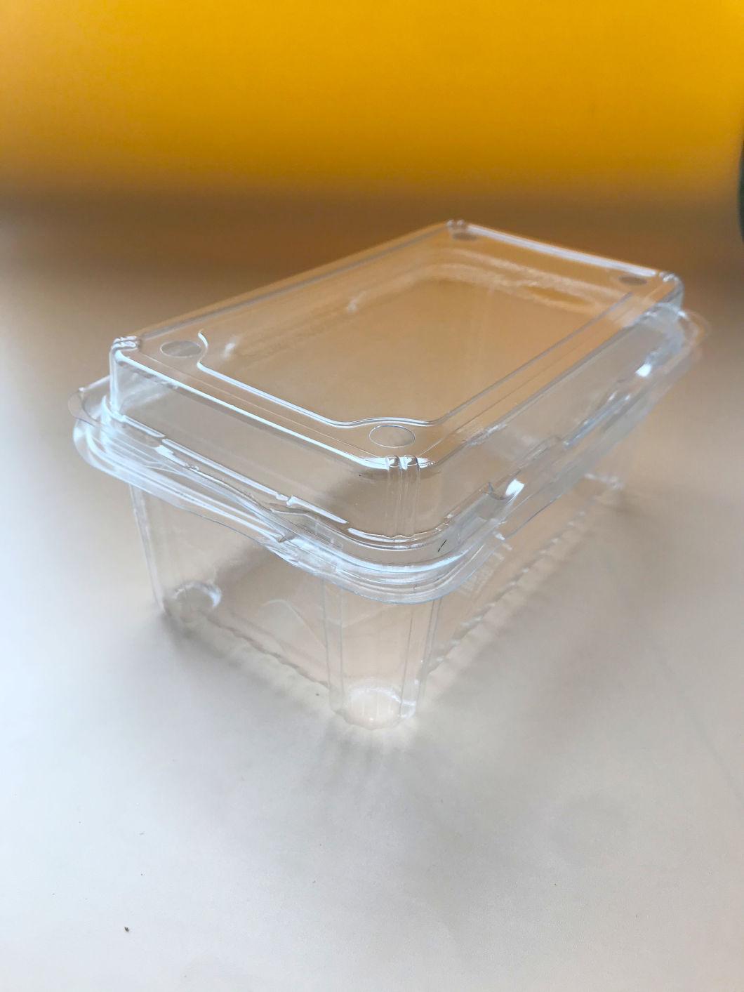 Clear Plastic PET Frozen Food Box Fresh Food Box Packaging Clamshell Potato