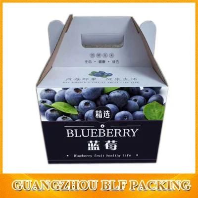 Color Printing Corrugated Outer Carton Box for Fruit