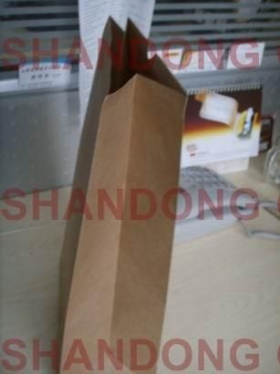 Hot Sale 100% Eco-Friendly Kraft Paper Bags with Custom Logo Printed for Packaging
