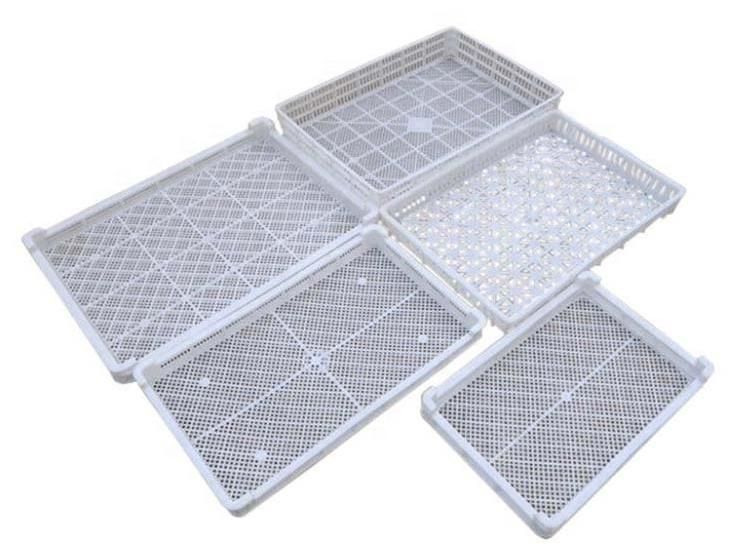 Food Grade Plastic Agricultural Tray for Drying for Food