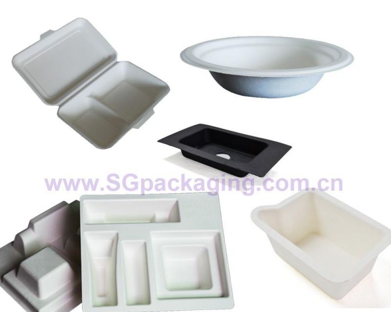 Eco Pulp Paper Sugarcane Pulp Packaging Food Box