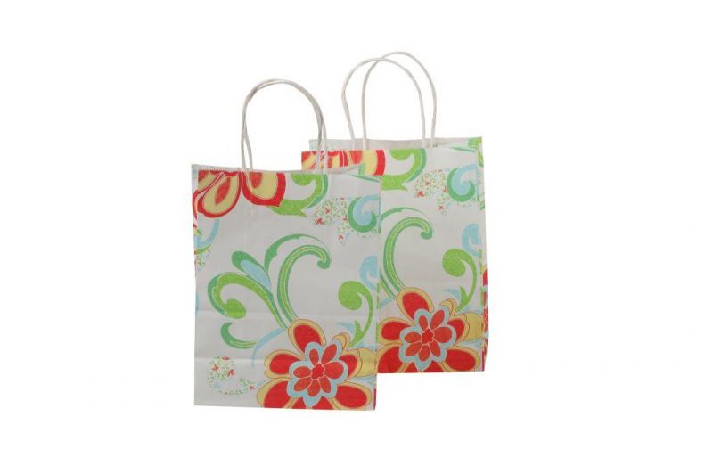 Wholesale Paper Bag with Custom Design Picture