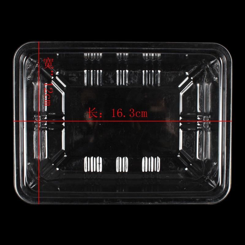 eco-friendly plastic disposable packaging food vegetable tray(PP tray)