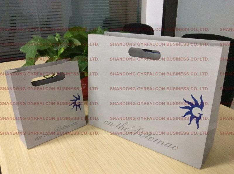 Art Paper Bag with Logo Print Glossy Lamination for Clothing/Gift/Shoes/Jewelry/Festival