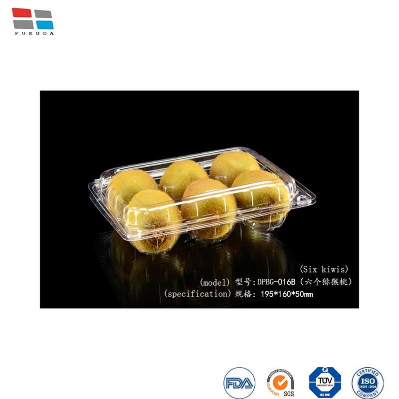 Disposable Hinged Lid Clear Plastic Rectangle Cake/Fruit Box