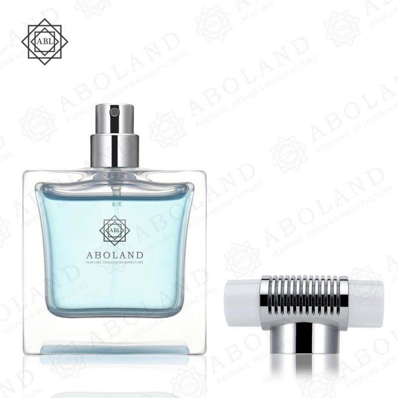 Wholesale Bulk Perfume Bottle Empty 50ml with Plastic Cap