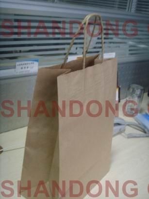 100% Eco-Friendly Art Paper/Cardboard with Custom Logo Printed Packaging Bag