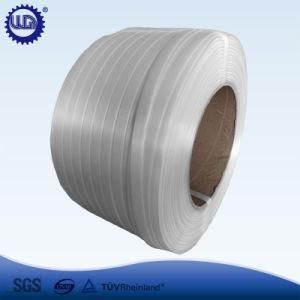 China Manufactured Hot Sale Corded Composite Strap Band