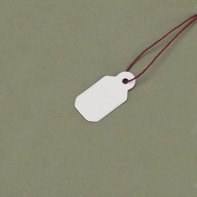 Custom Plastic PVC String Tag Labels for Jewelry (FP100-16)