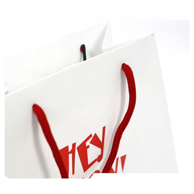 Special Shape Custom Design Logo Printed Coated Paper Shopping Bag