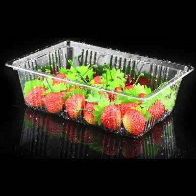 Disposable black PET Container Recyclable plastic fruit tray