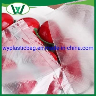 Disposable Transparency Flat Poly Bag on Rolls for Food Packaging