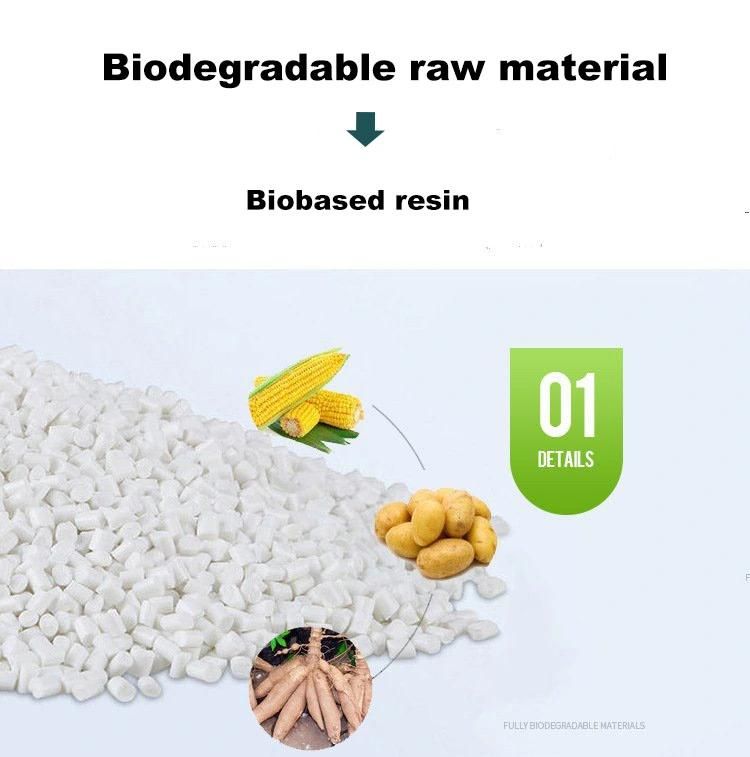 Wholesale Biodegradable Bags for Packaging