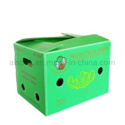 Coroplast Corrugated Plastic Grape Okra Asparagus Packing Box