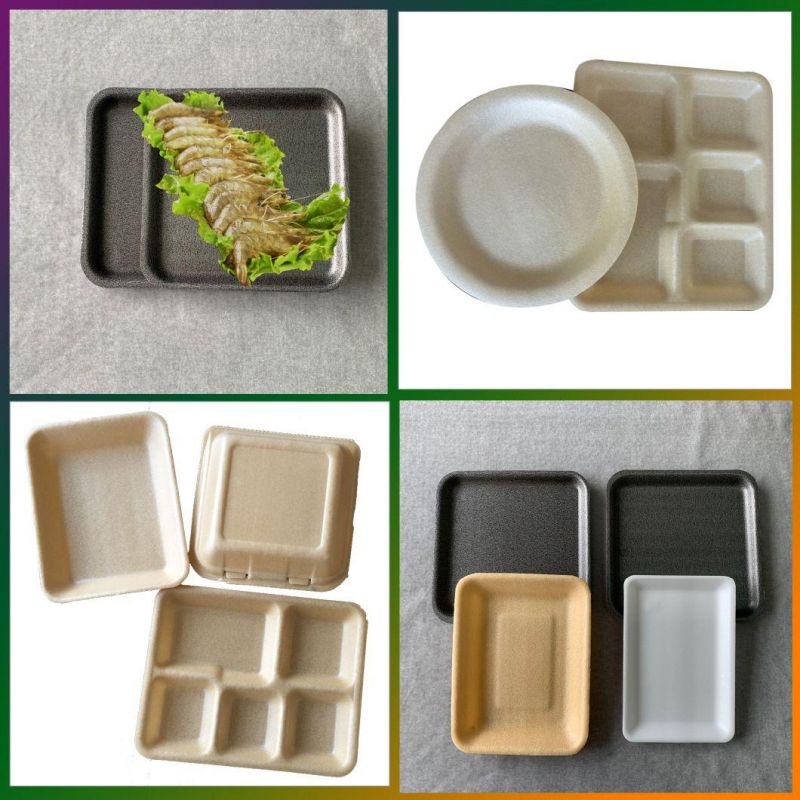 Polylactide 100% Biodegradable Seafoof Tray with Absorbent Pad