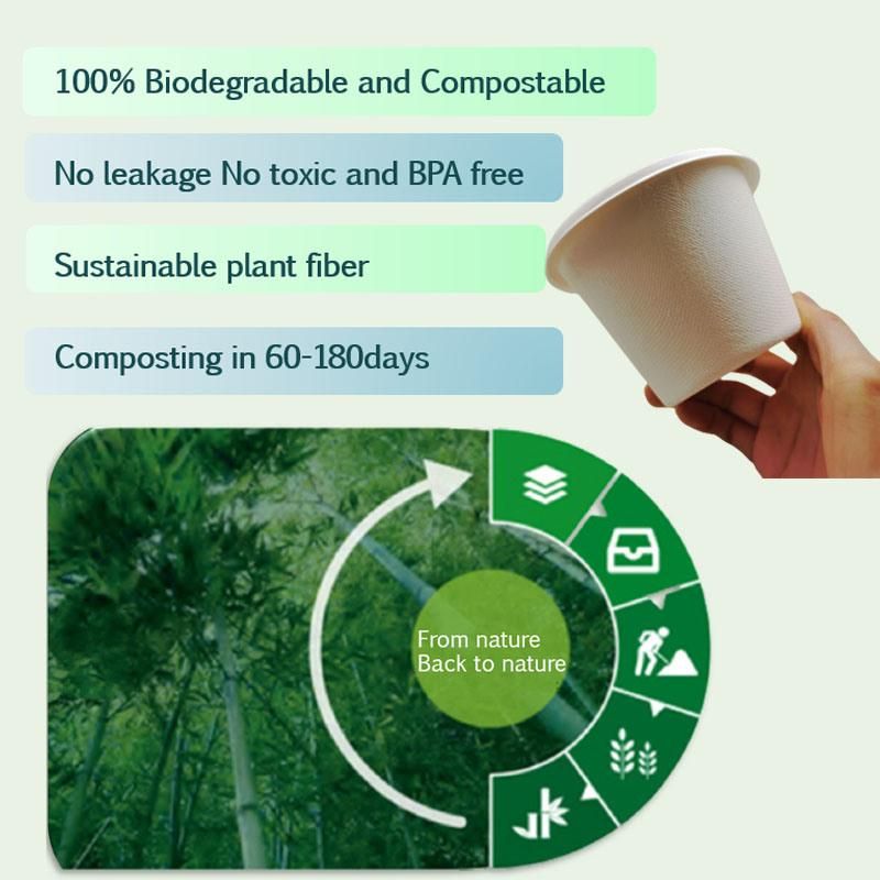 Biodegradable 8 Inch X 8 Inch 3 Compartment Food Packaging