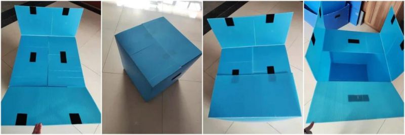 PP Corrugated Container Coroplast Plastic Packing Turnover Storage Box