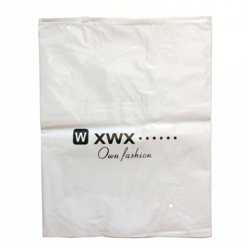 PE Plastic Zipper Bags for Clothing Packaging Bags Poly Bag OEM